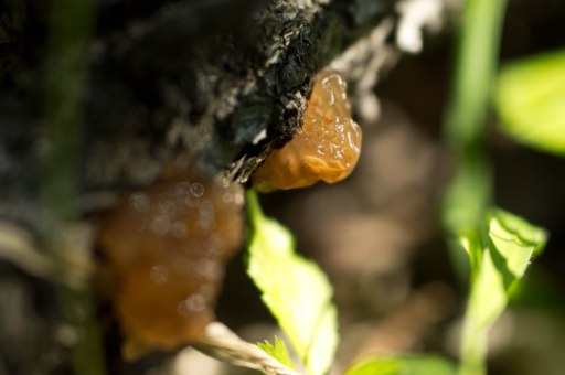 巴菲特职场箴言：择业真正重要的是从事自己热爱的工作 而非起薪