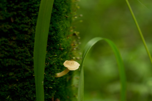巴菲特:股票市场的短期波动是一种常态