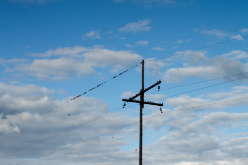 德国Ifo:德国工业芯片短缺问题加剧