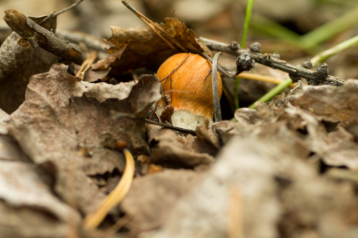 启航健康拍打(启航词) 启航健康拍打(启航词)