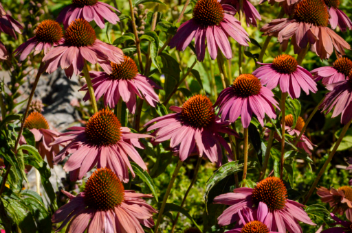 有友食品第三季度归母净利润增44.8%至6533万元