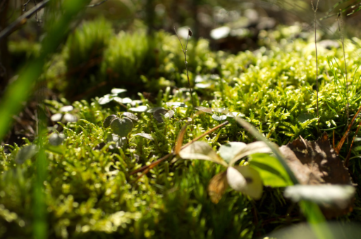 沪硅产业:2025年前三季度实现营收26.41亿 高强度研发与产能双轮驱动夯实内功静待花开 沪硅产业:2025年前三季度实现营收26.41亿 高强度研发与产能双轮驱动夯实内功静待花开