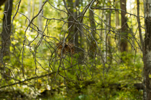 斯特兰蒂斯设立“应急指挥室”,应对安世半导体芯片危机 斯特兰蒂斯设立“应急指挥室”,应对安世半导体芯片危机
