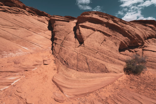花卉需求调查	(花卉需求分析) 花卉需求调查	(花卉需求分析)