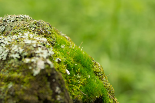 高盛上调亚马逊与苹果目标价 高盛上调亚马逊与苹果目标价