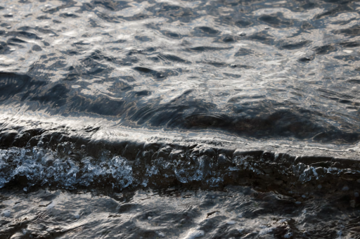 李国花卉	(画家李国樑) 李国花卉	(画家李国樑)