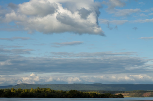 国际妇女健康期刊（国际女性健康服务中心）