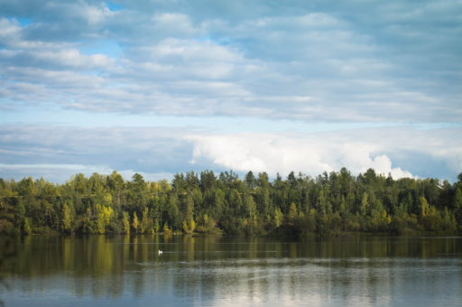 连云港花卉租赁服务电话	（连云港花卉租赁服务电话是多少）