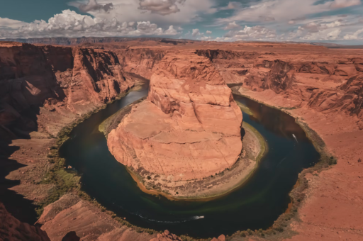 寿光花卉风景	（寿光花卉基地）