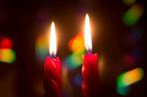 水边的花卉	（水边常见的特色栽植）