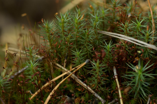 从美国的保险业系统风险到打压移民 都令金融圈大佬忧心忡忡