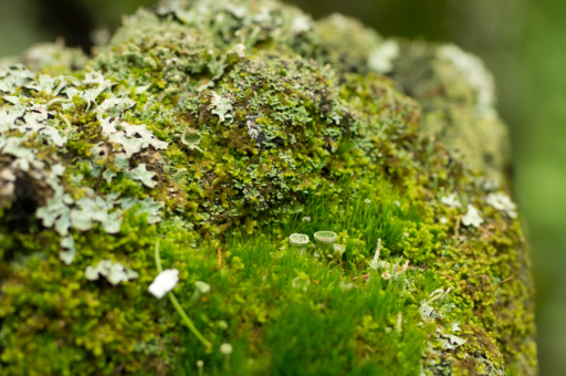桂林健康证体检（桂林办健康证去哪个医院便宜）
