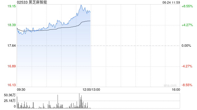 黑芝麻智能盘中涨超5% 拟回购公司股票最高总价1亿元