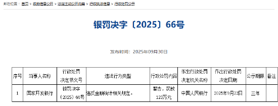 国家开发银行被罚123万元：违反金融统计相关规定
