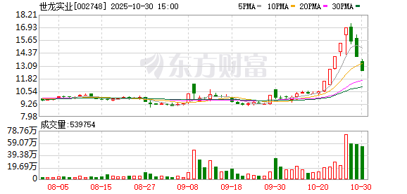世龙实业10月30日龙虎榜数据