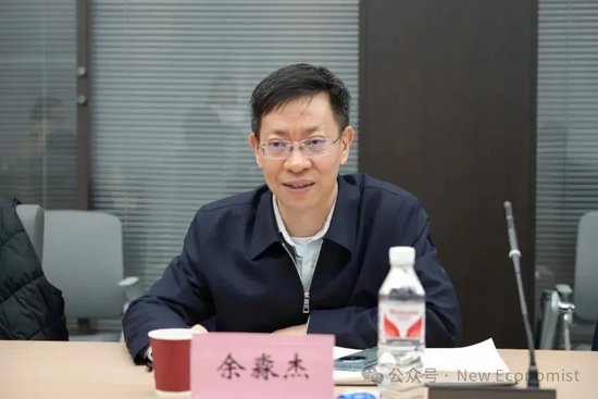 余永定、余淼杰谈“十五五”