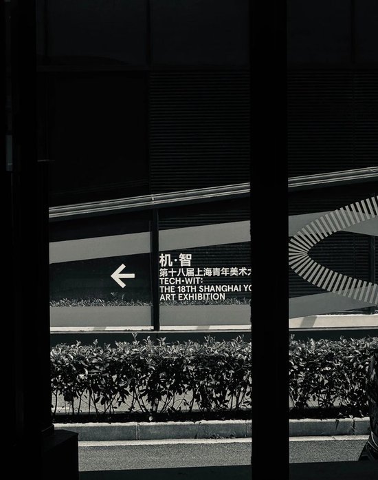 朋友圈正成为“艺术第一现场”,上海青年美展公众投票人次破18万的背后……