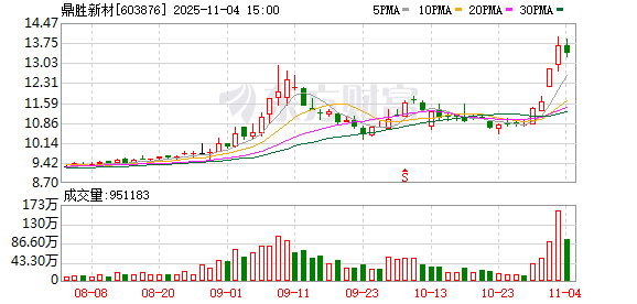 鼎胜新材：公司无逾期对外担保的情形